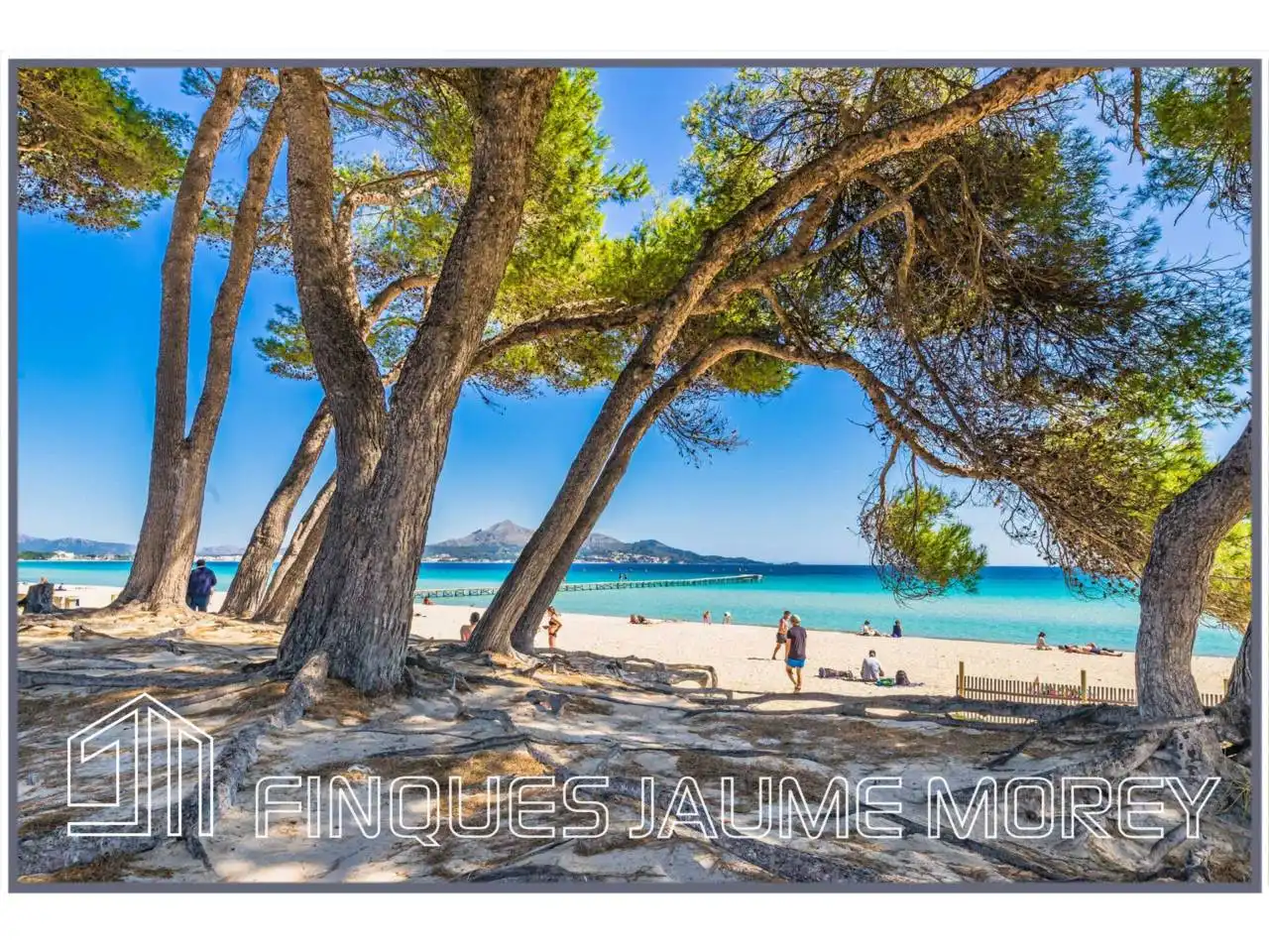 Local de lloguer a Avenida Platja, 2, Port d'Alcúdia - Platja d'Alcúdia