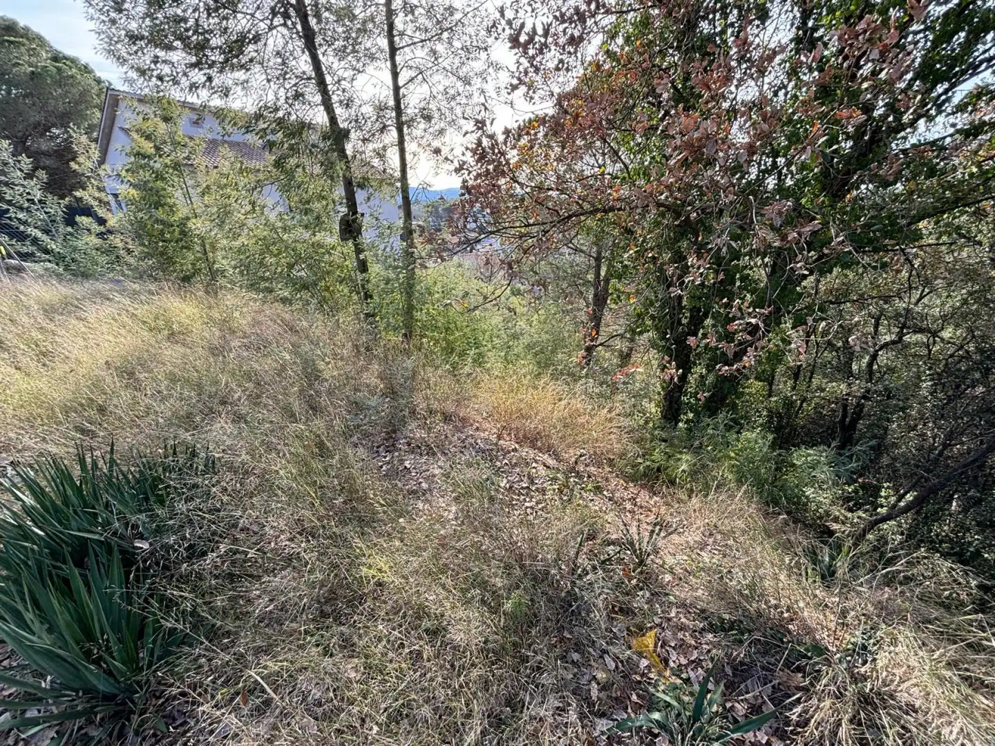 Terreno residencial en venta en Riells i Viabrea, imagen 3