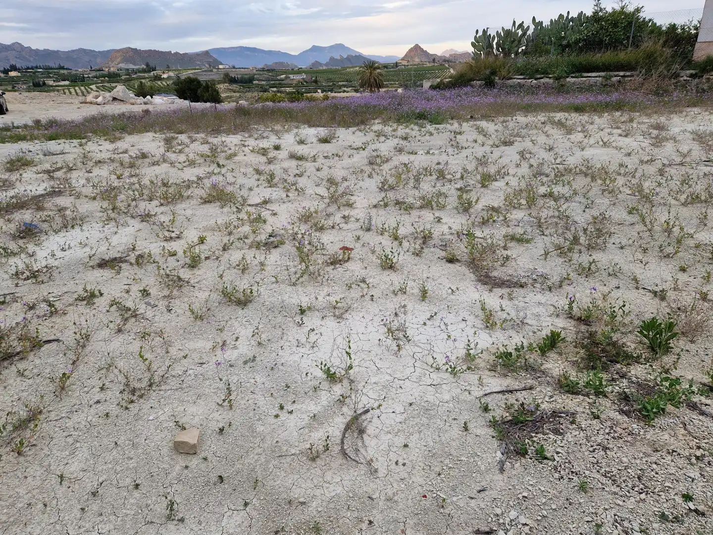 Land for sale in Villanueva del Río Segura