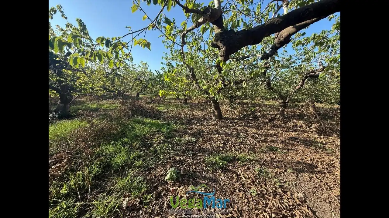 Residencial en venta en Almuñécar