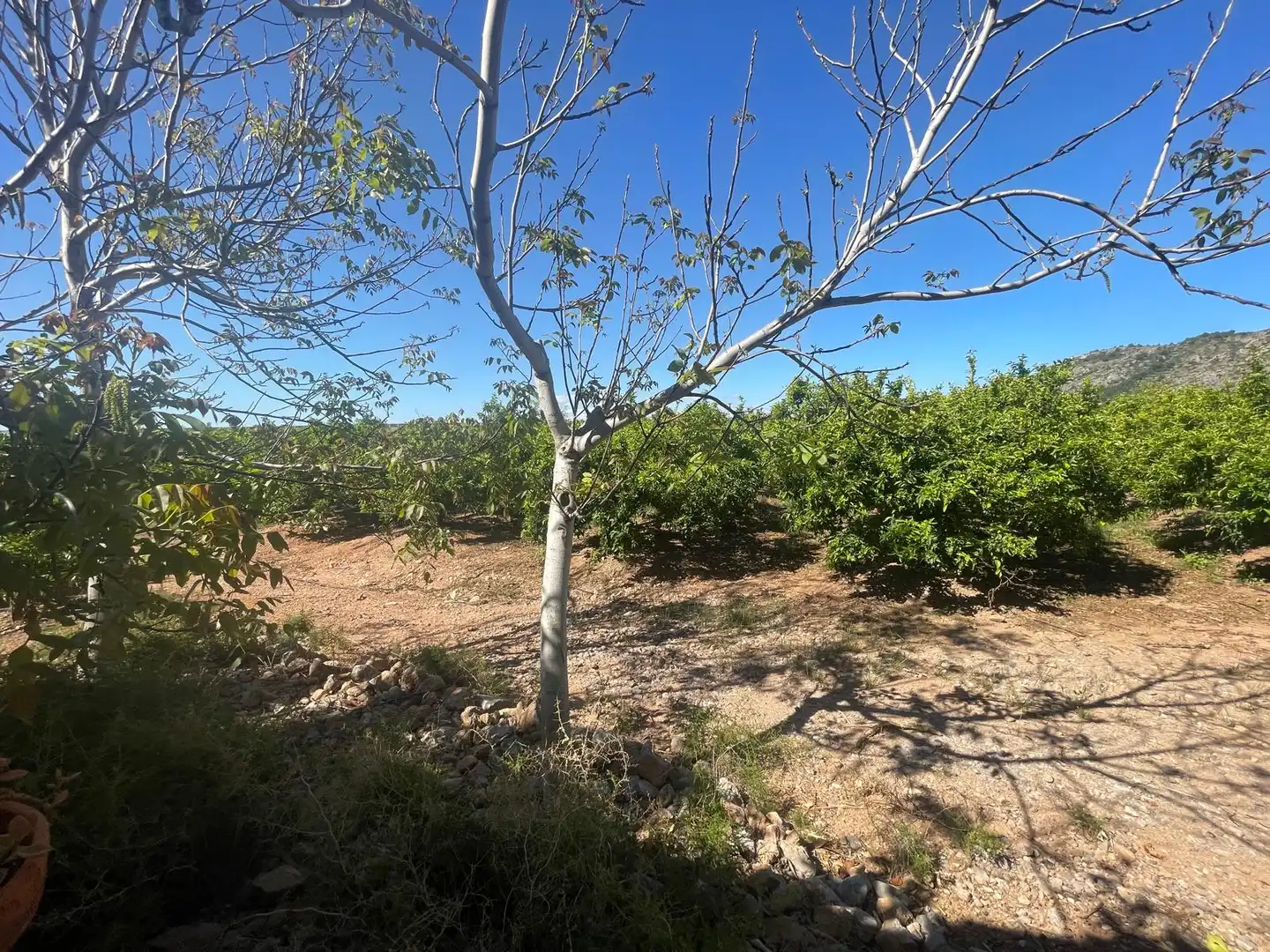 Grundstücke zum Verkauf in Castellón de la Plana / Castelló de la Plana