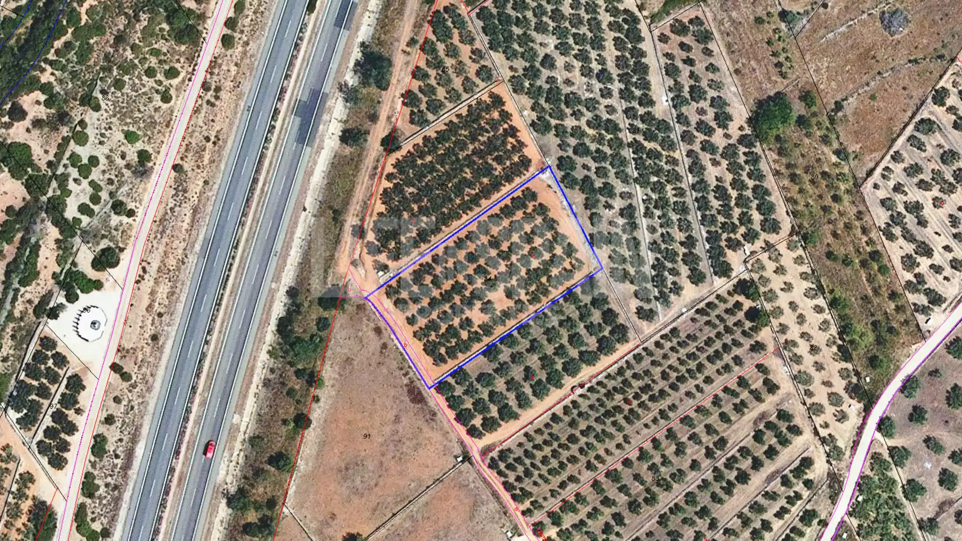 Terreno rustico in vendita a Freginals, imagen 2