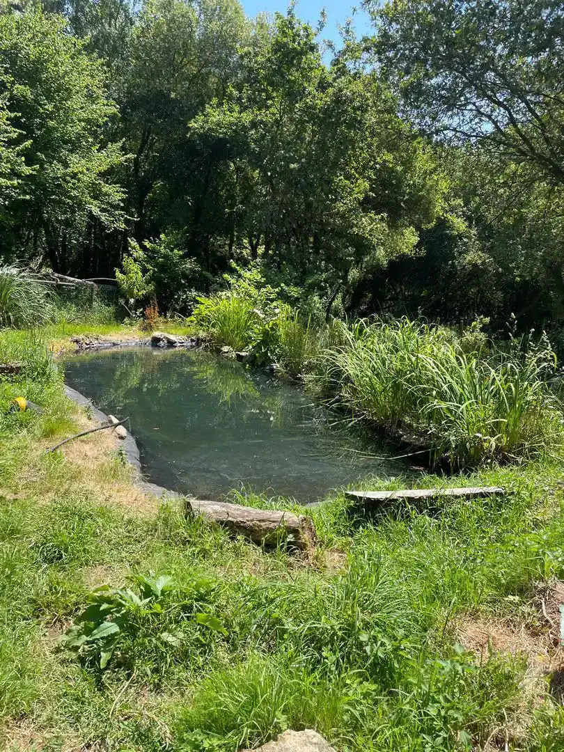 Schwimmbecken von Country house zum Verkauf in Moaña mit Schwimmbad