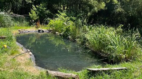 Foto 2 de Finca rústica en venda a Moaña, Pontevedra