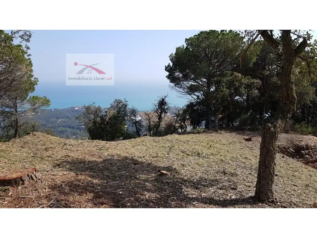 House with pool for sale in Roca Grossa, imagen 19
