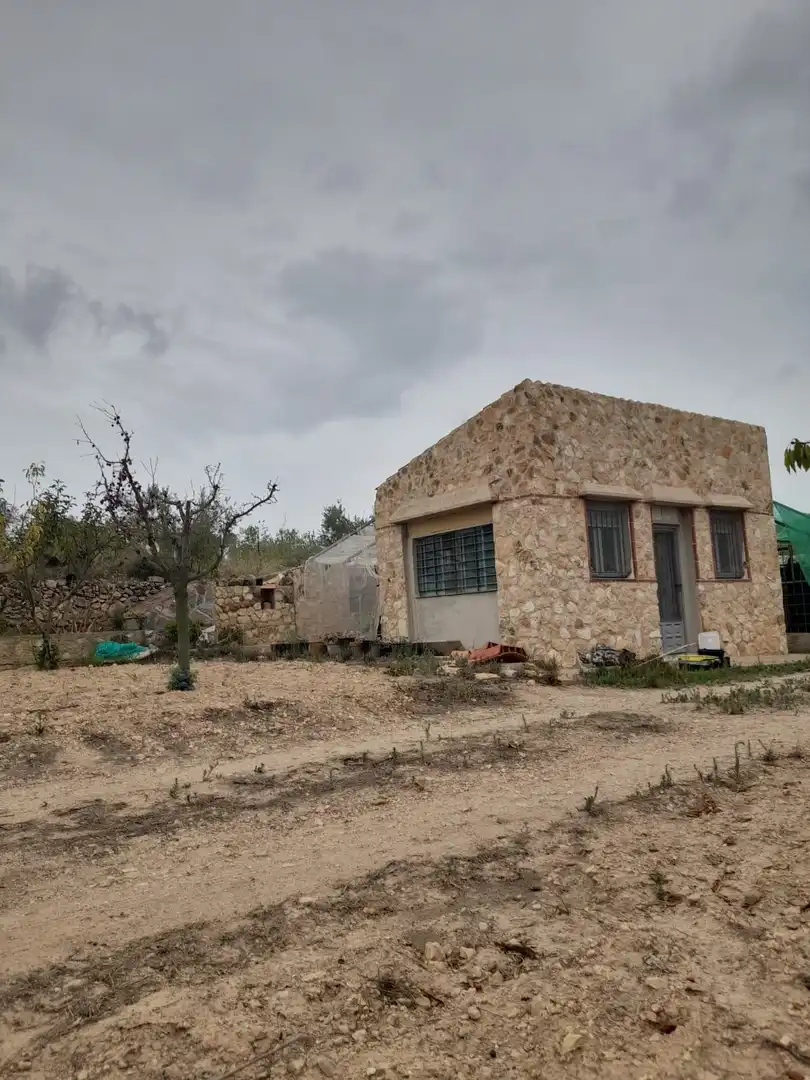 Rural land for sale in Salomó, imagen 20