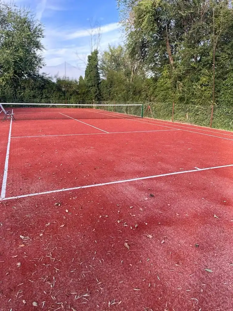 Jardín de Finca rústica en venta en Tomelloso con Aire acondicionado, Jardín privado y Terraza