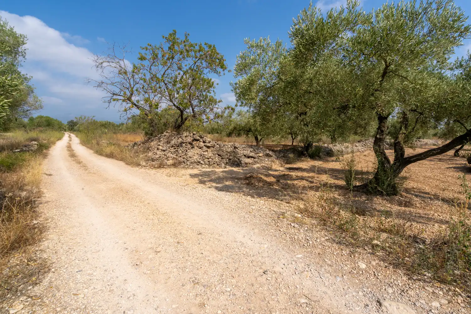 Rustikales Grundstück zum Verkauf in Camí Miliana, imagen 7