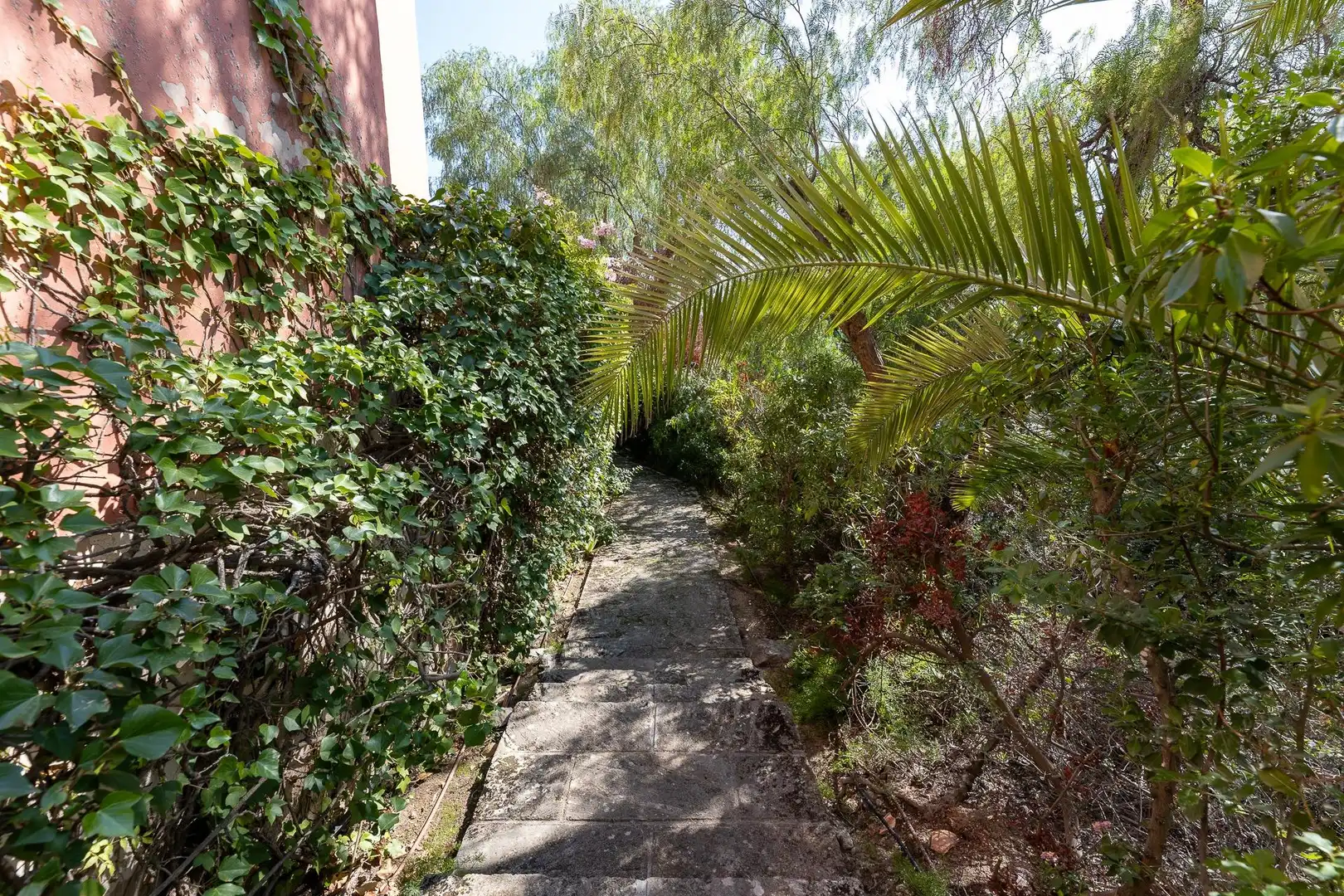 Jardí de Casa o xalet en venda en  Palma de Mallorca amb Jardí privat, Terrassa i Balcó