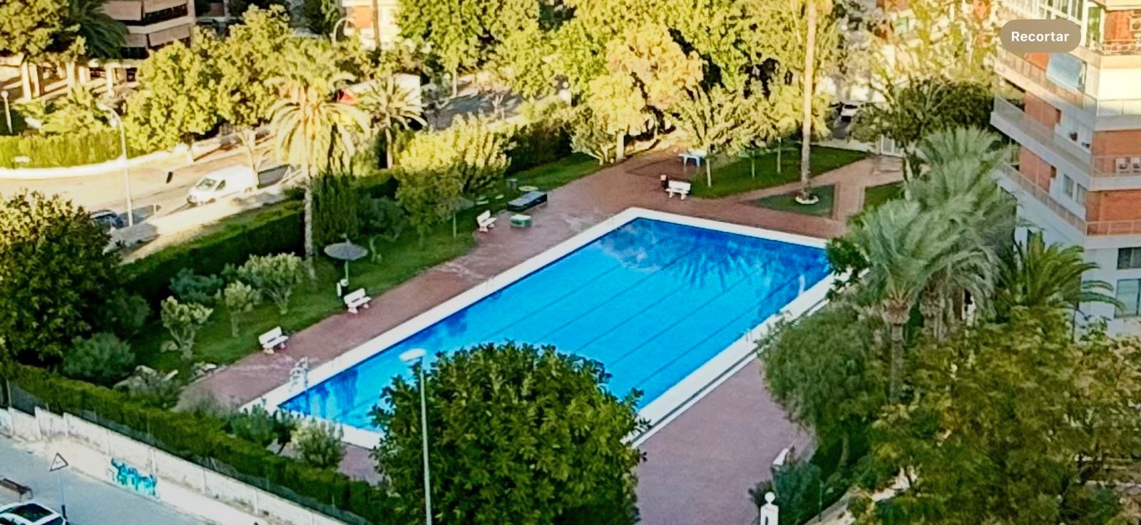 Swimming pool of Flat to rent in Alicante / Alacant  with Air Conditioner, Terrace and Furnished