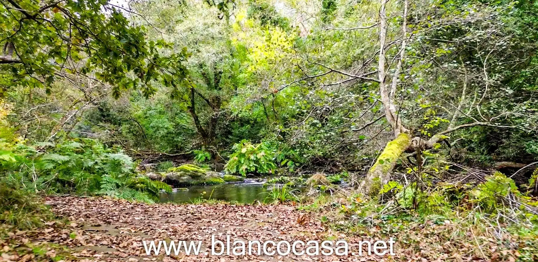 Vista exterior de Finca rústica en venta en Coristanco con Jardín privado