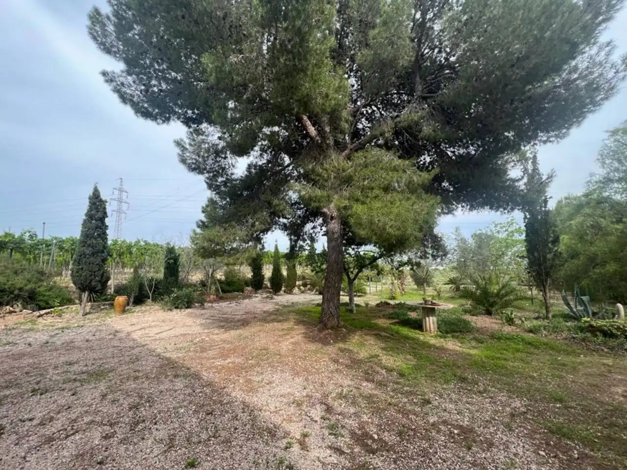 Villa mit Pool zum Verkauf in Monforte del Cid, imagen 68