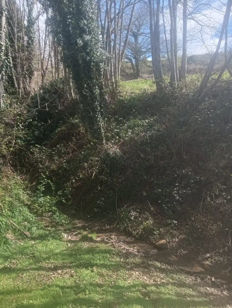 Terreny en venda en Tineo