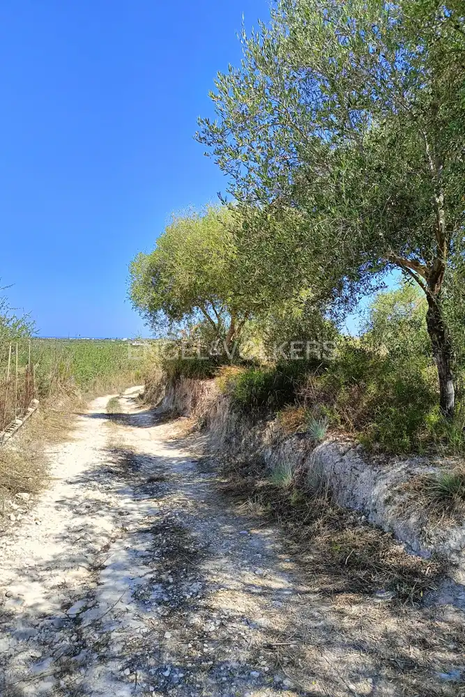 Terrenys i solars en venda a Pedreguer, imagen 2