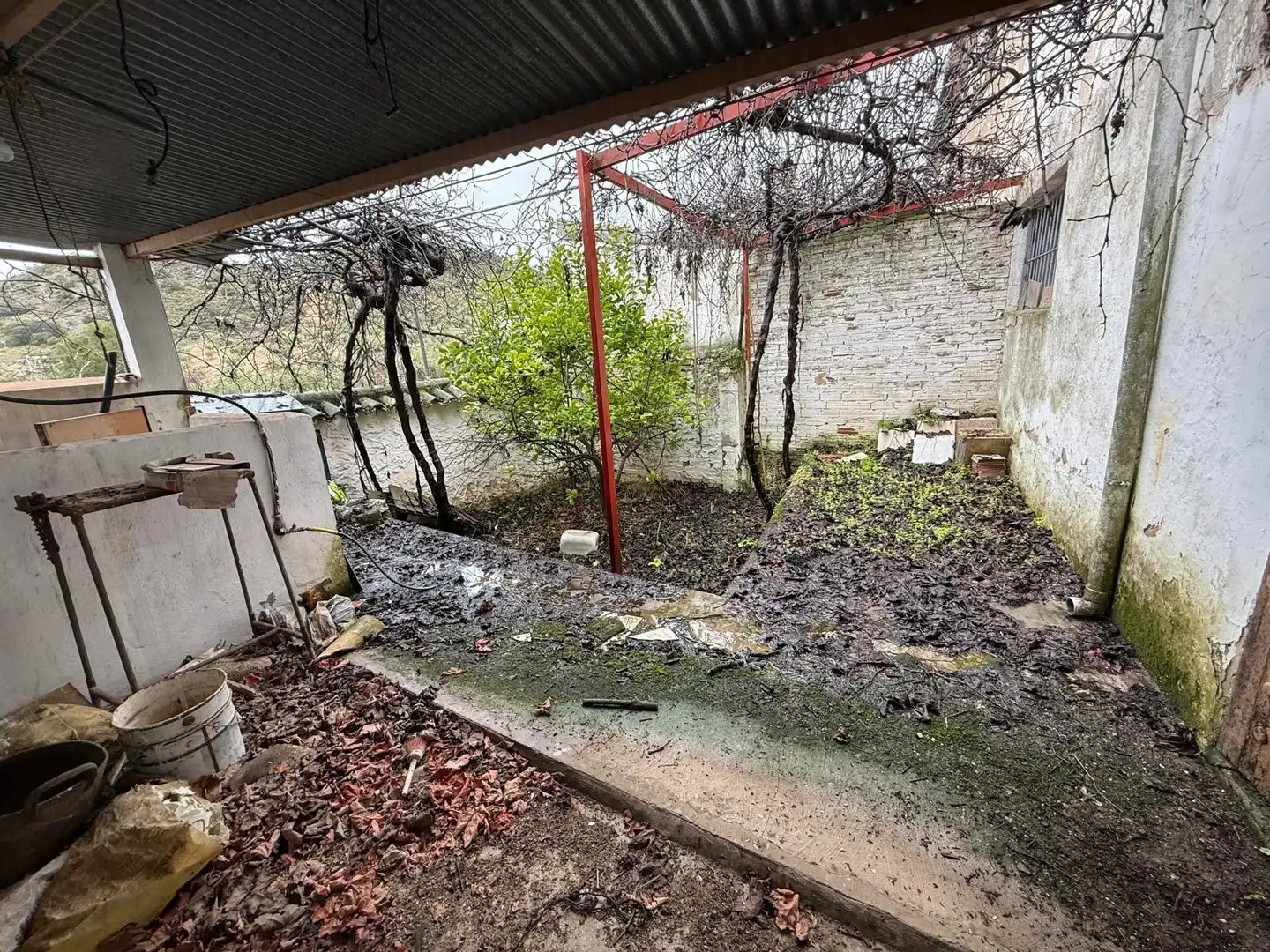 Jardín de Terreno en venta en Villanueva de Algaidas