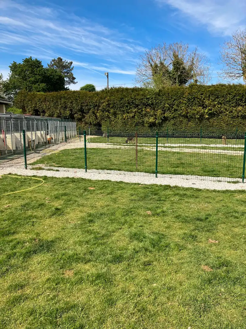 Garden of Houses for sale in Abegondo