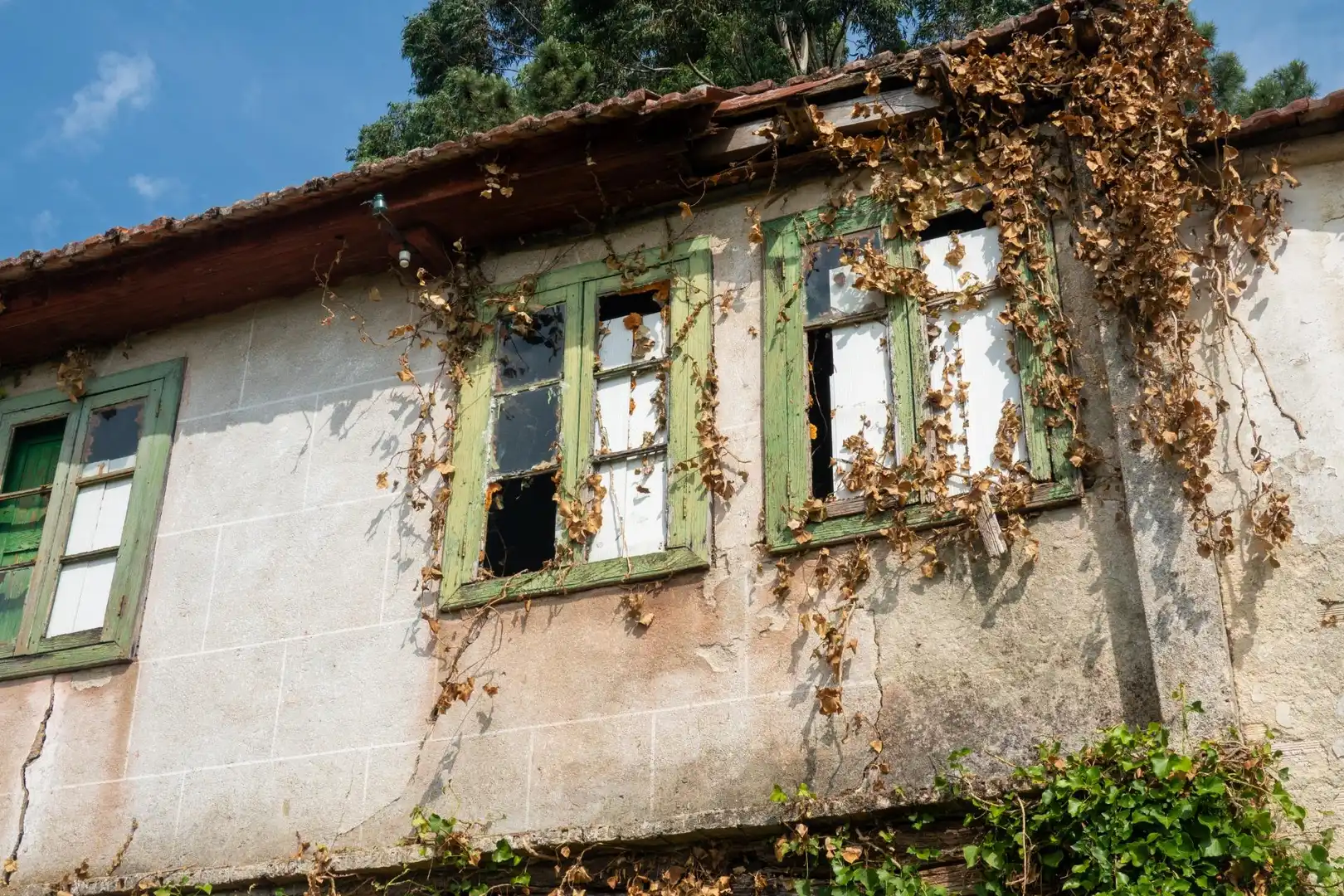 Vista exterior de Finca rústica en venda en Arbo amb Jardí privat
