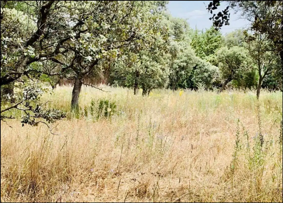 Residential land for sale in Camino de los Barrizales, imagen 4