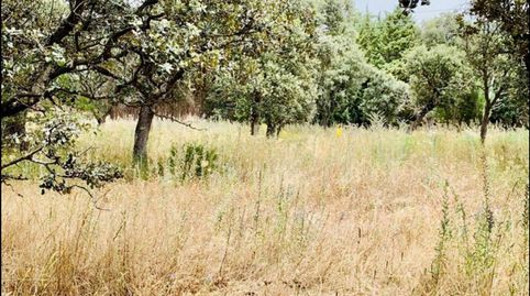 Foto 4 de Residencial en venta en Camino de Los Barrizales, Collado Mediano, Madrid
