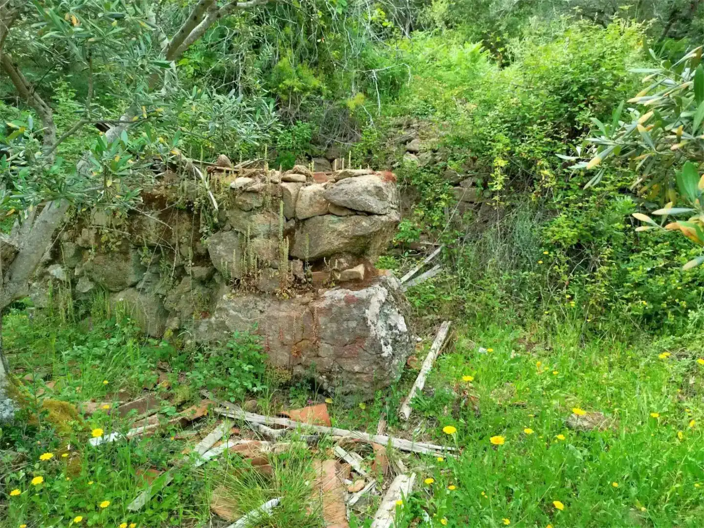 Garden of Land for sale in Torre de Don Miguel