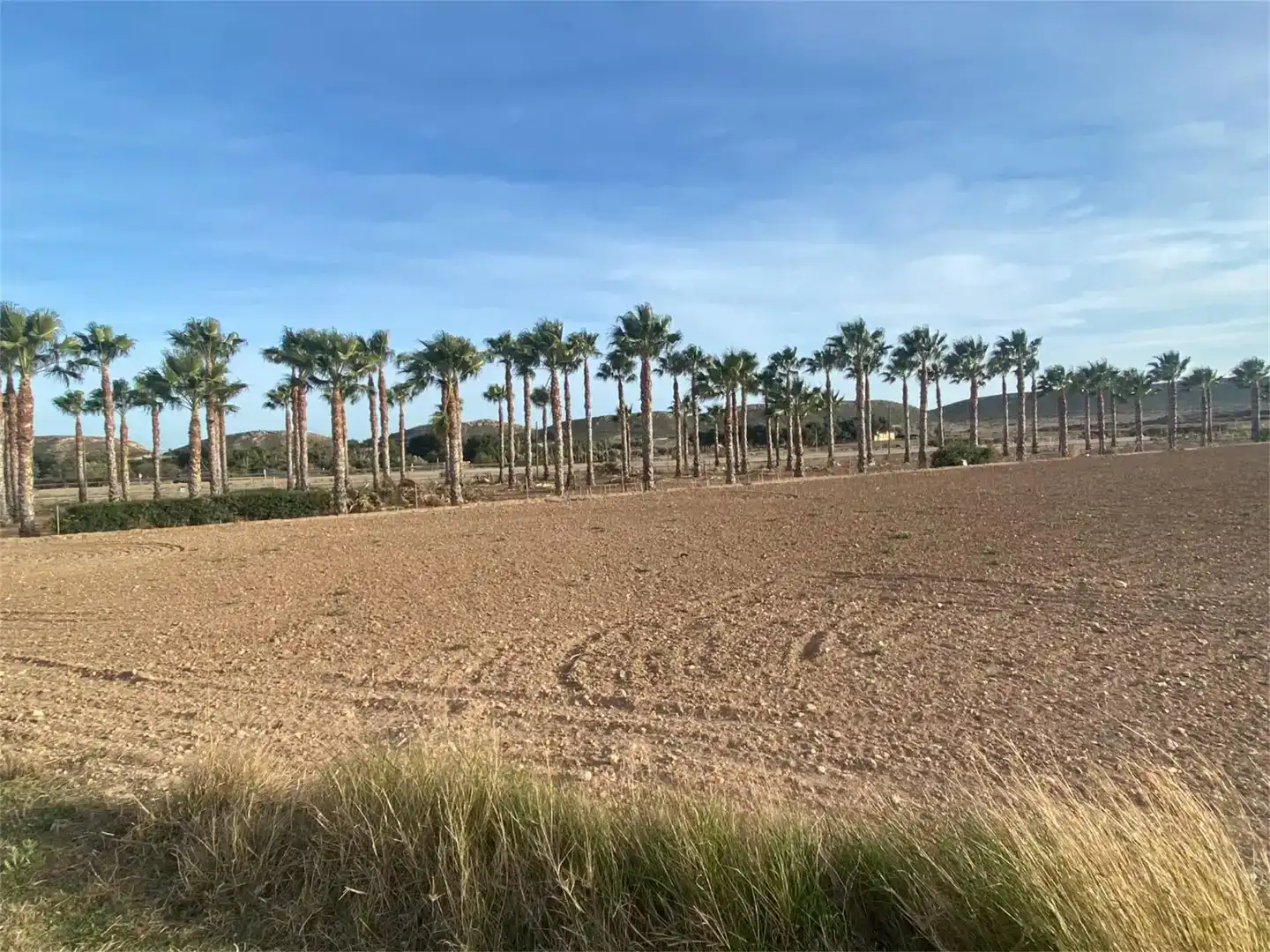 Terreno en venta en Partidas de Alicante