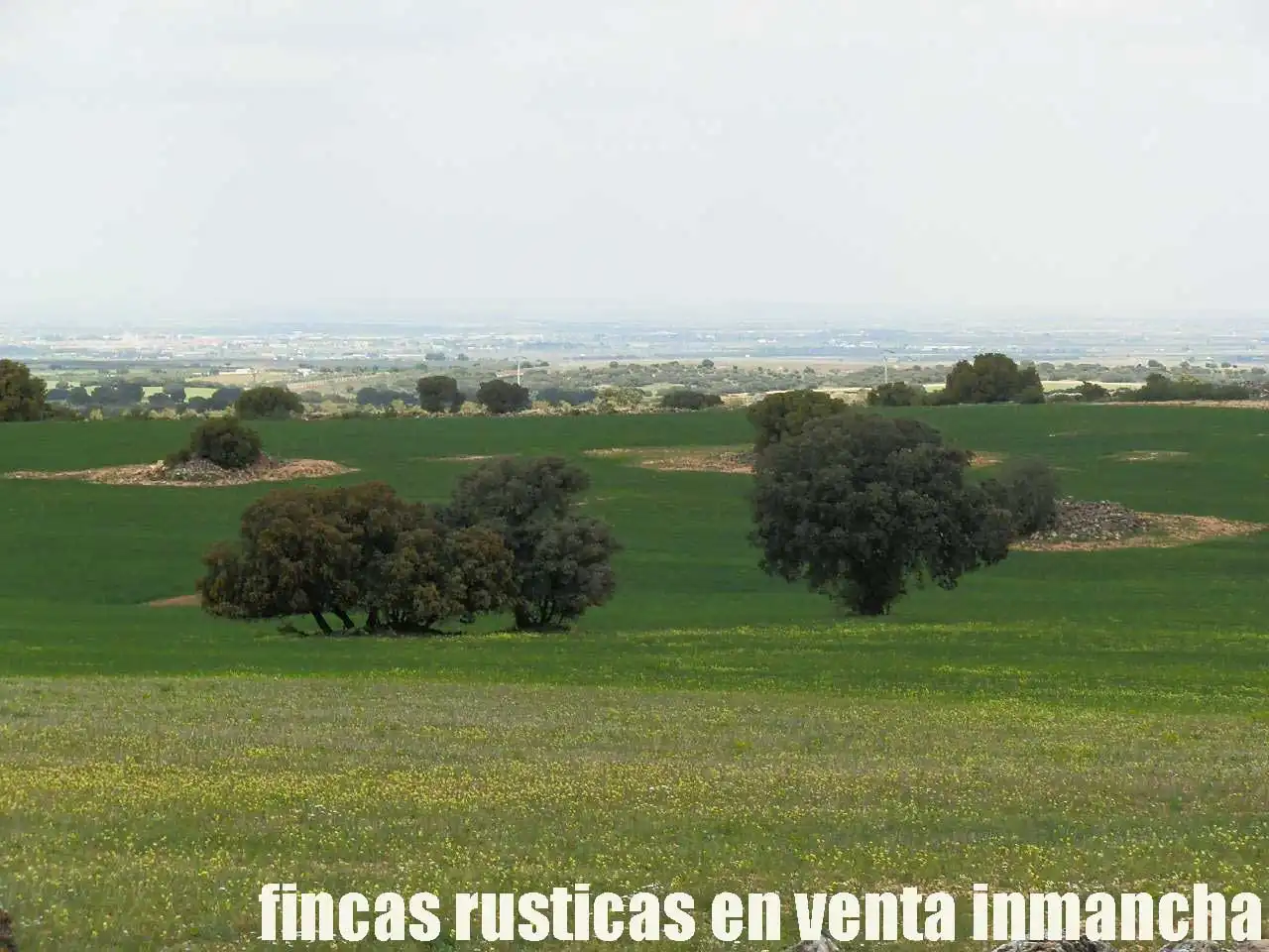 Terreno rustico in vendita a Ruidera, imagen 25