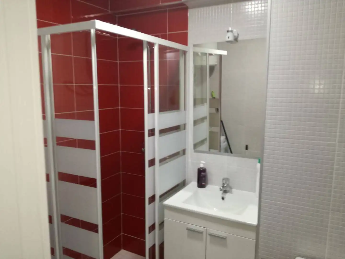 Baño de Estudio de alquiler en Vélez-Málaga con Amueblado, Lavadora y Microondas