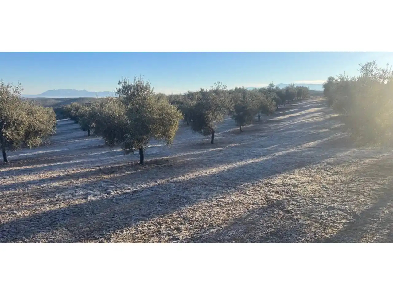 Terreni e lotti in vendita a Alhama de Granada, imagen 3