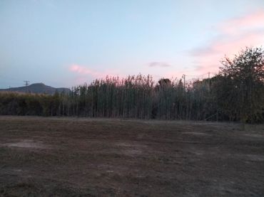 Terreny rústic en venda a Blanca