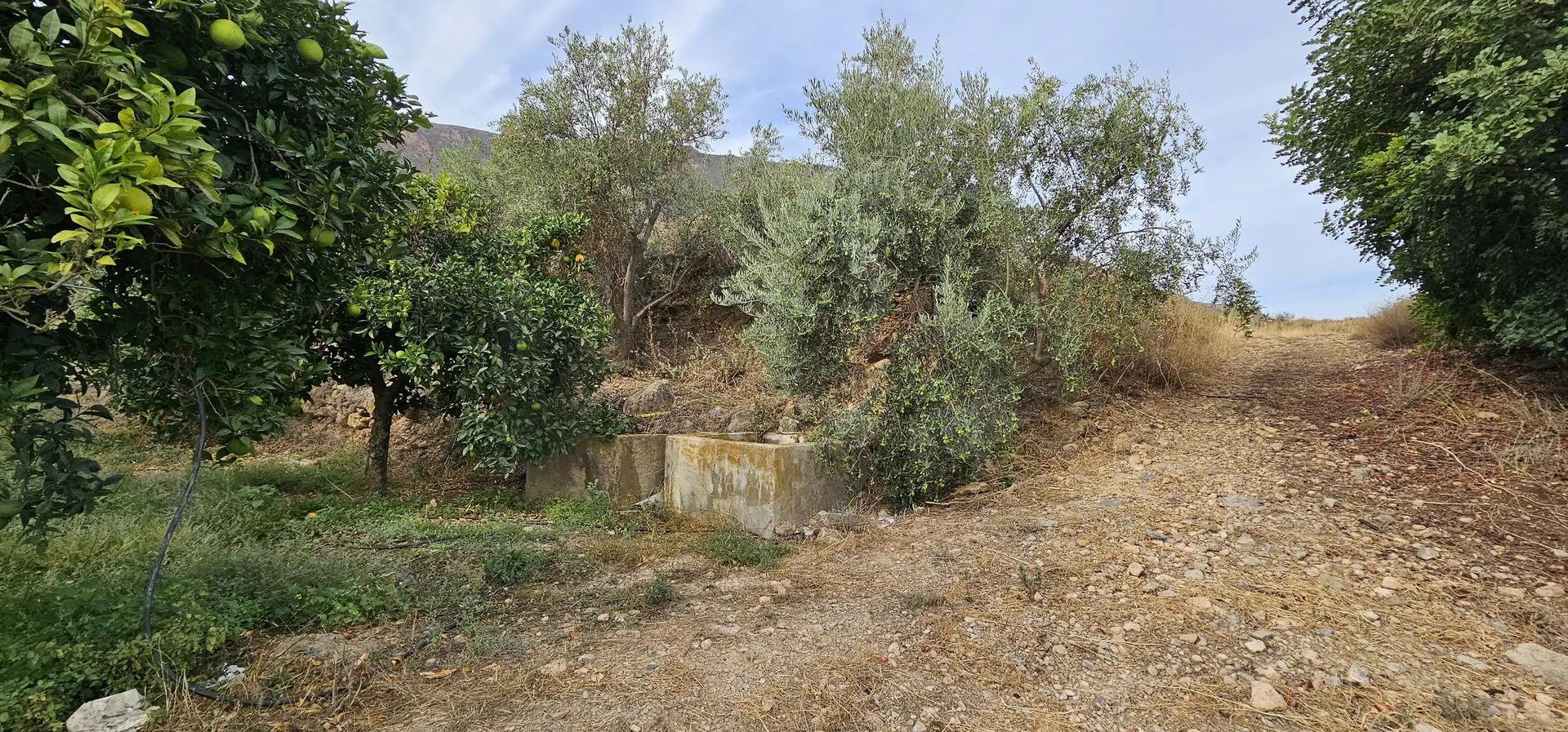 Residencial en venda en Íllar