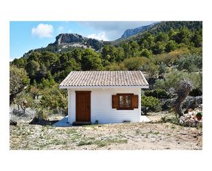 Garden of House or chalet for sale in Benifato