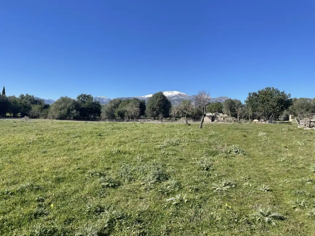 Terrain rustique à vendre à Selva, imagen 4