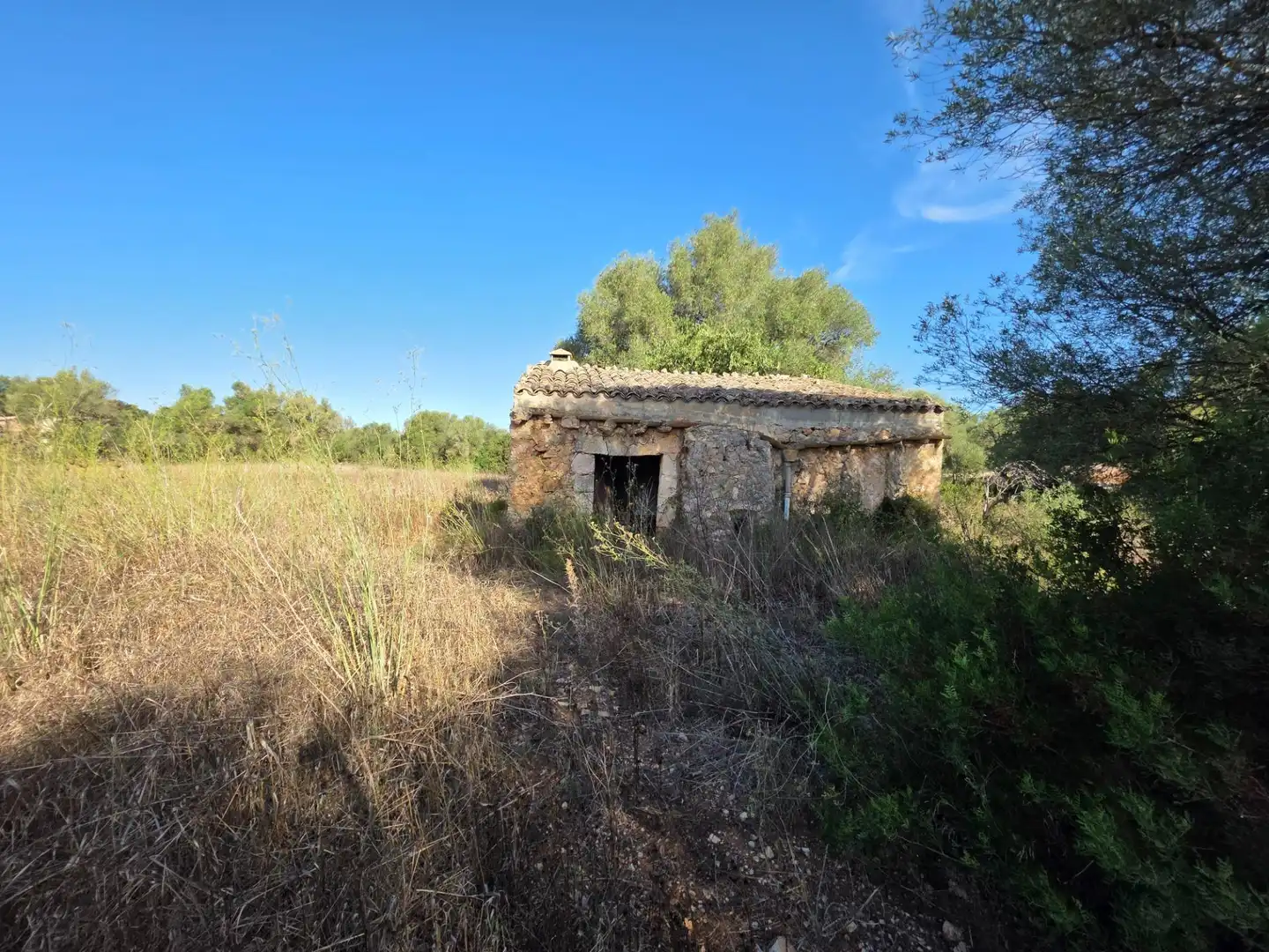 Finca rústica en venta en Costitx