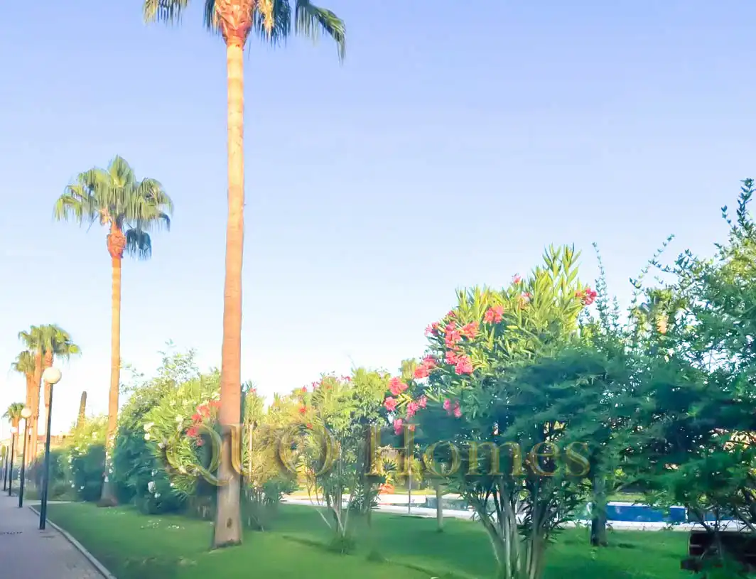 Vista exterior de Casa o xalet en venda en Jerez de la Frontera amb Aire condicionat, Jardí privat i Piscina comunitària