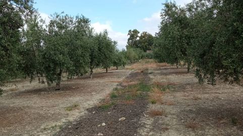 PARCELA CON POZO NAVE