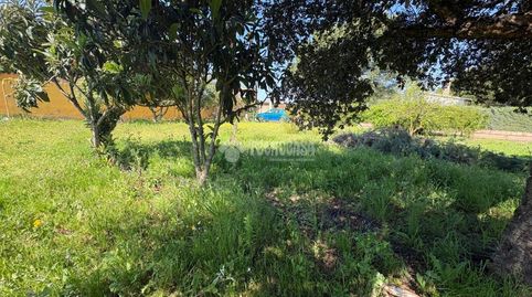 Foto 2 de Terreny en venda a Táliga, Badajoz