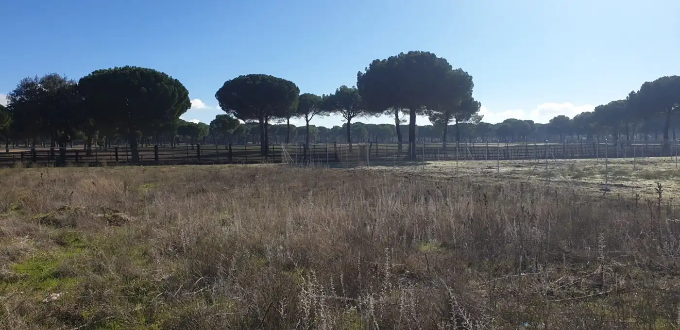 Terreni e lotti in vendita a Aldeamayor de San Martín, imagen 9