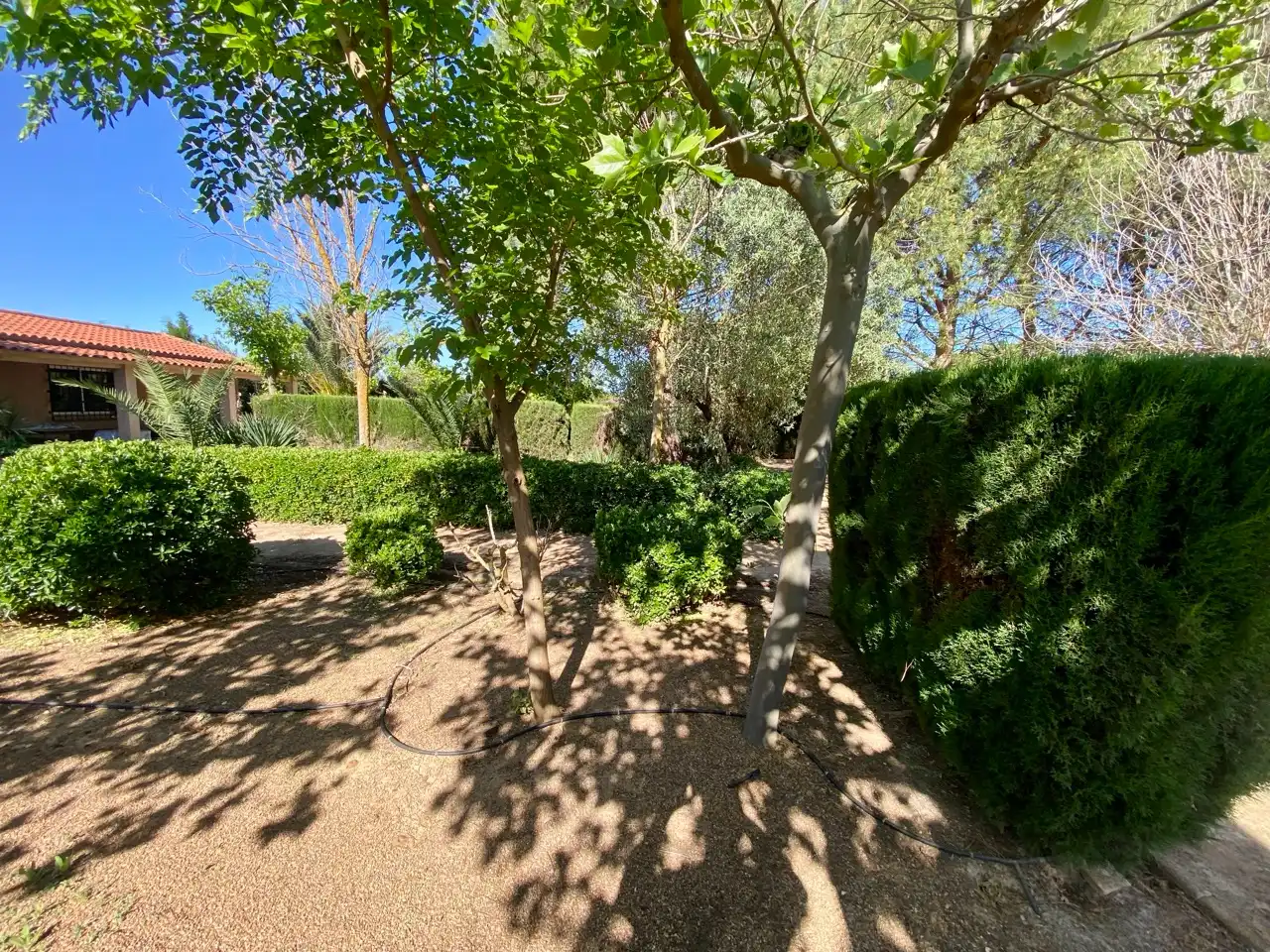 Jardín de Casa o chalet en venta en Fernán Caballero con Aire acondicionado, Jardín privado y Trastero