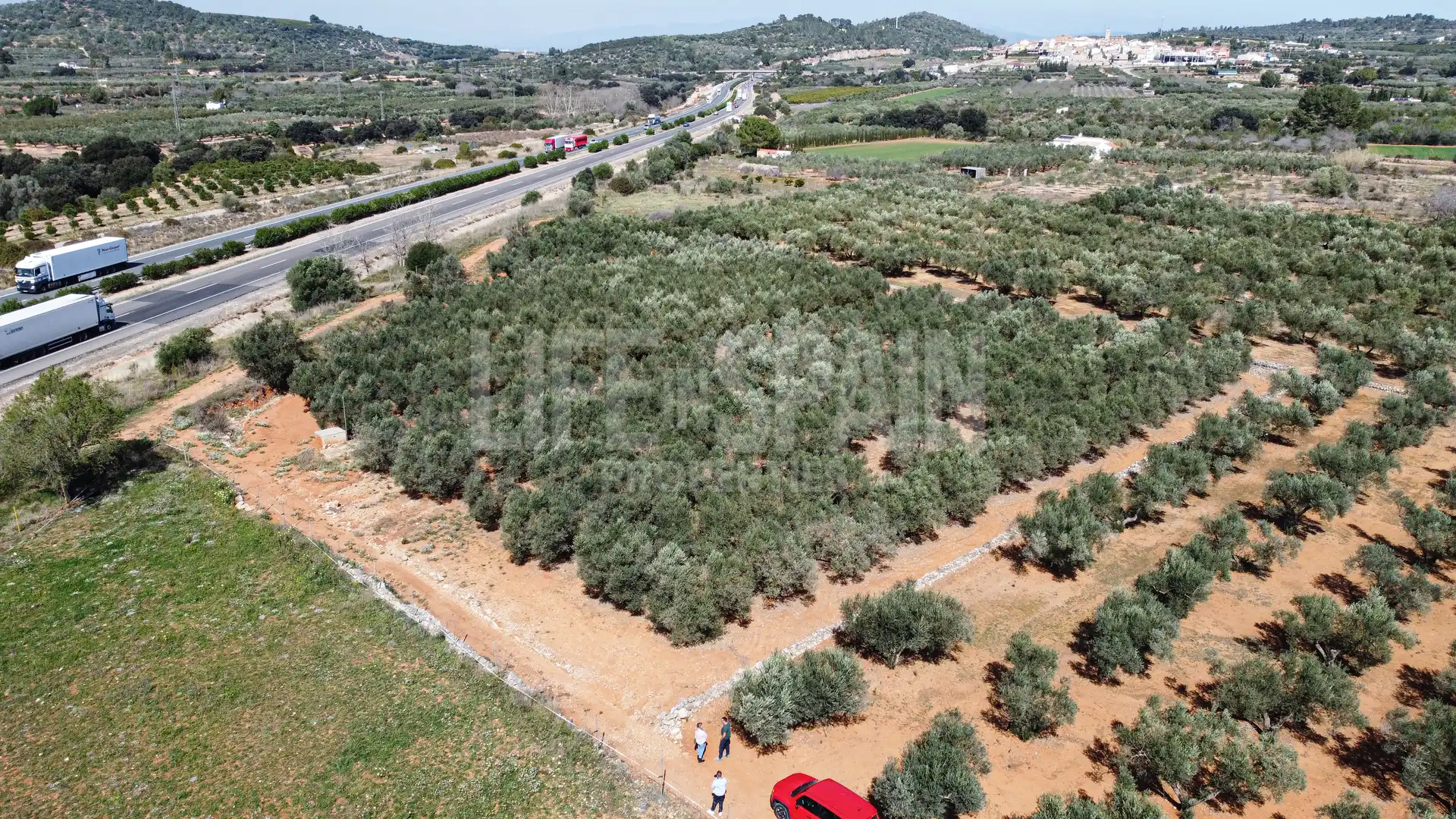 Terreno rustico in vendita a Freginals, imagen 4