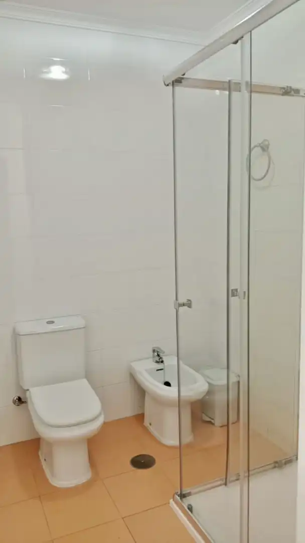 Flat to rent in Anibal Gonzalez, imagen 21