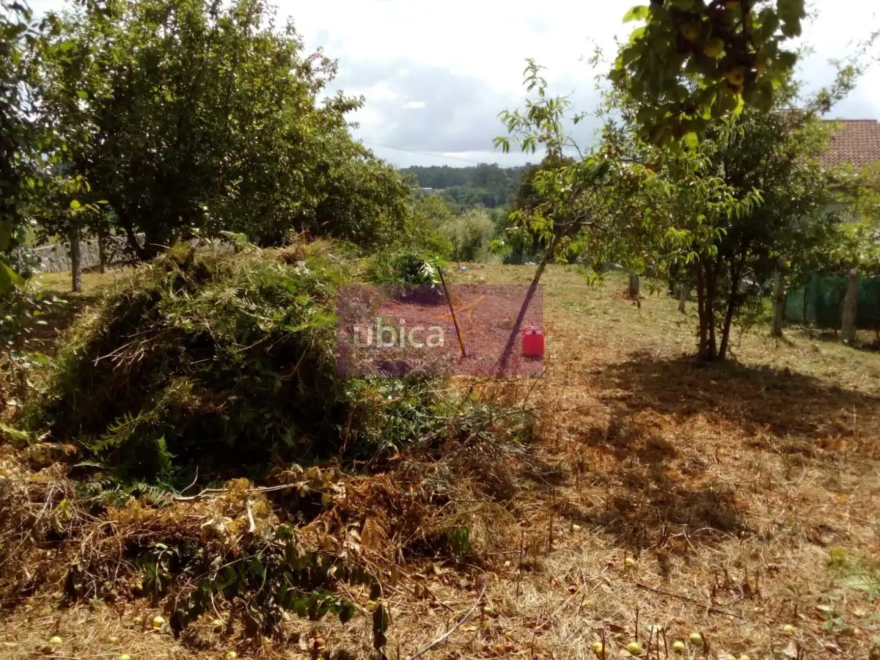 Lands and plots for sale in Salceda de Caselas, imagen 7