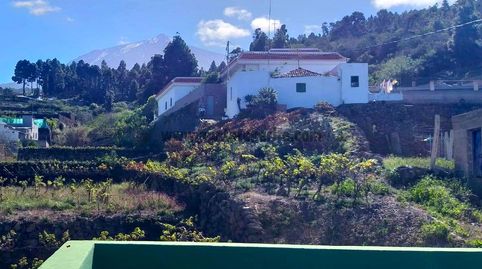 Foto 2 de Finca rústica en venta en La Vega - El Amparo - Cueva del Viento, Icod de los Vinos