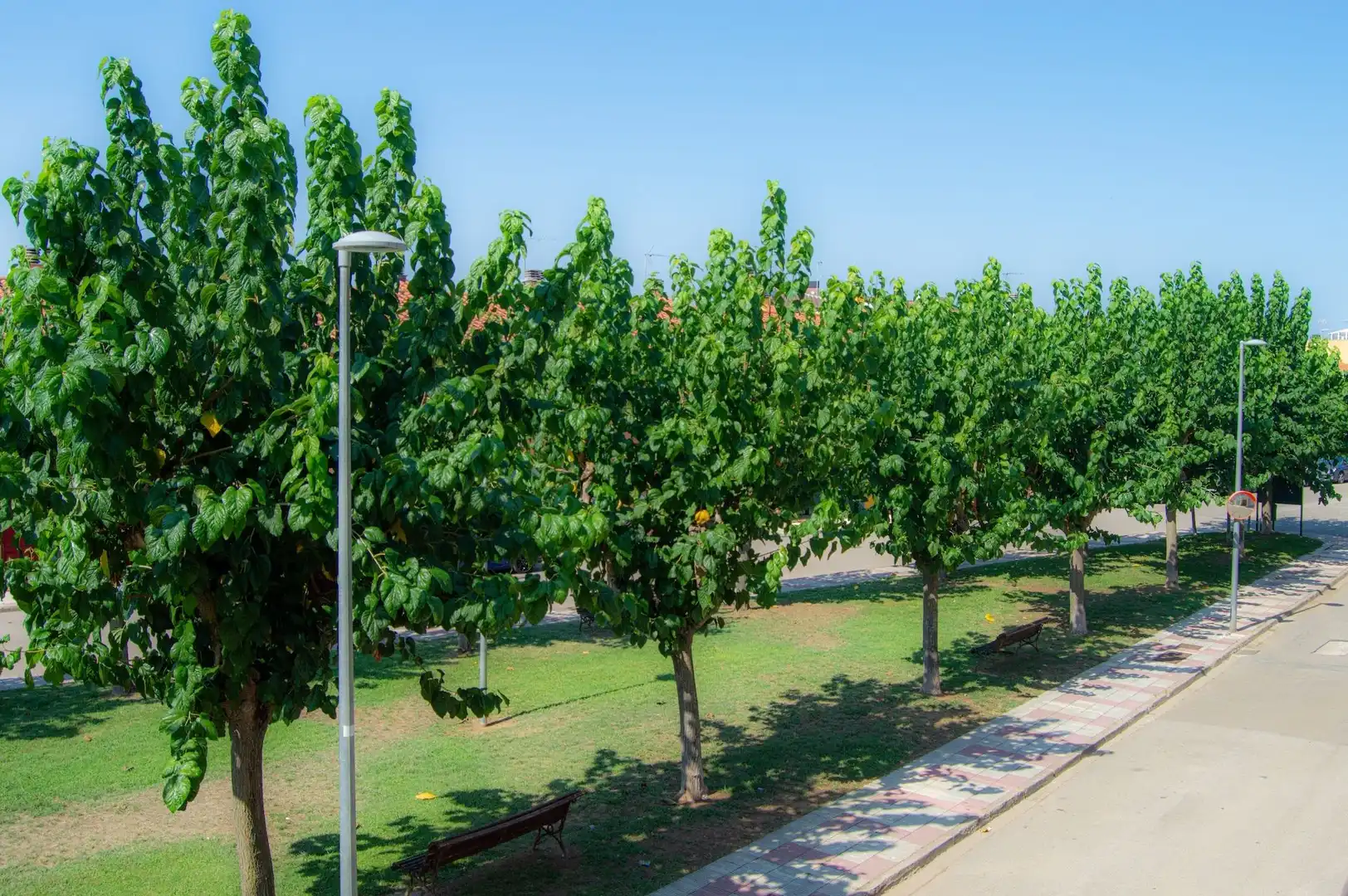 Exterior view of Flat for sale in Llagostera  with Air Conditioner, Terrace and Community pool