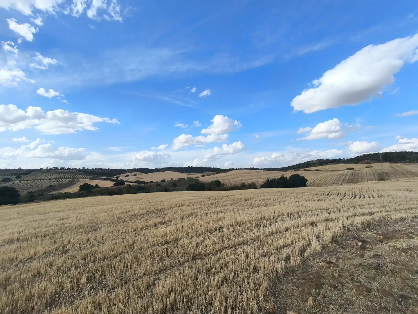 Wohnbaugrundstück zum Verkauf in Ribatejada, imagen 2