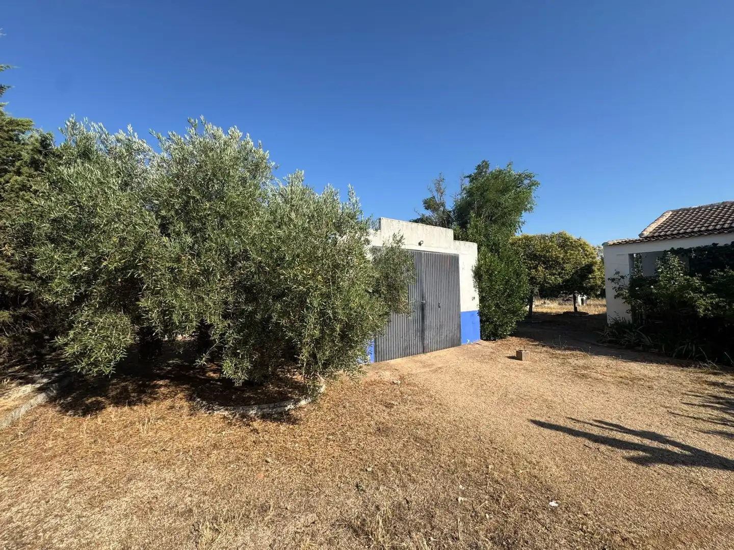 Casa rústica en venda a Valdepeñas, imagen 47