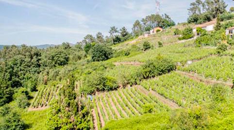 Foto 2 de Casa o xalet en venda a Castrelo de Miño, Ourense