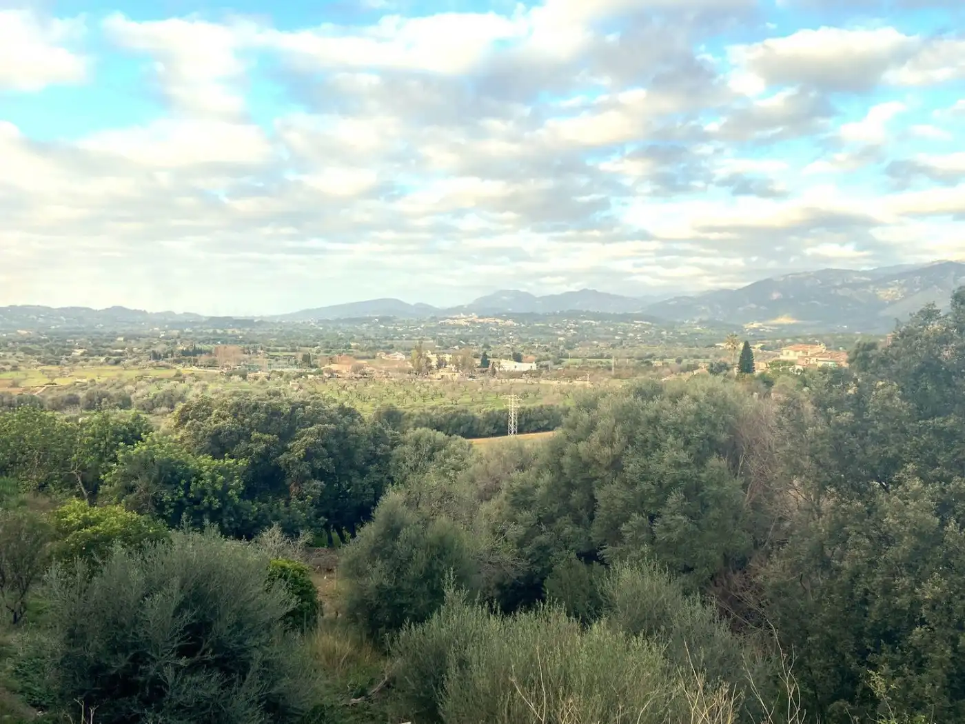 Terreny residencial en venda a Campanet