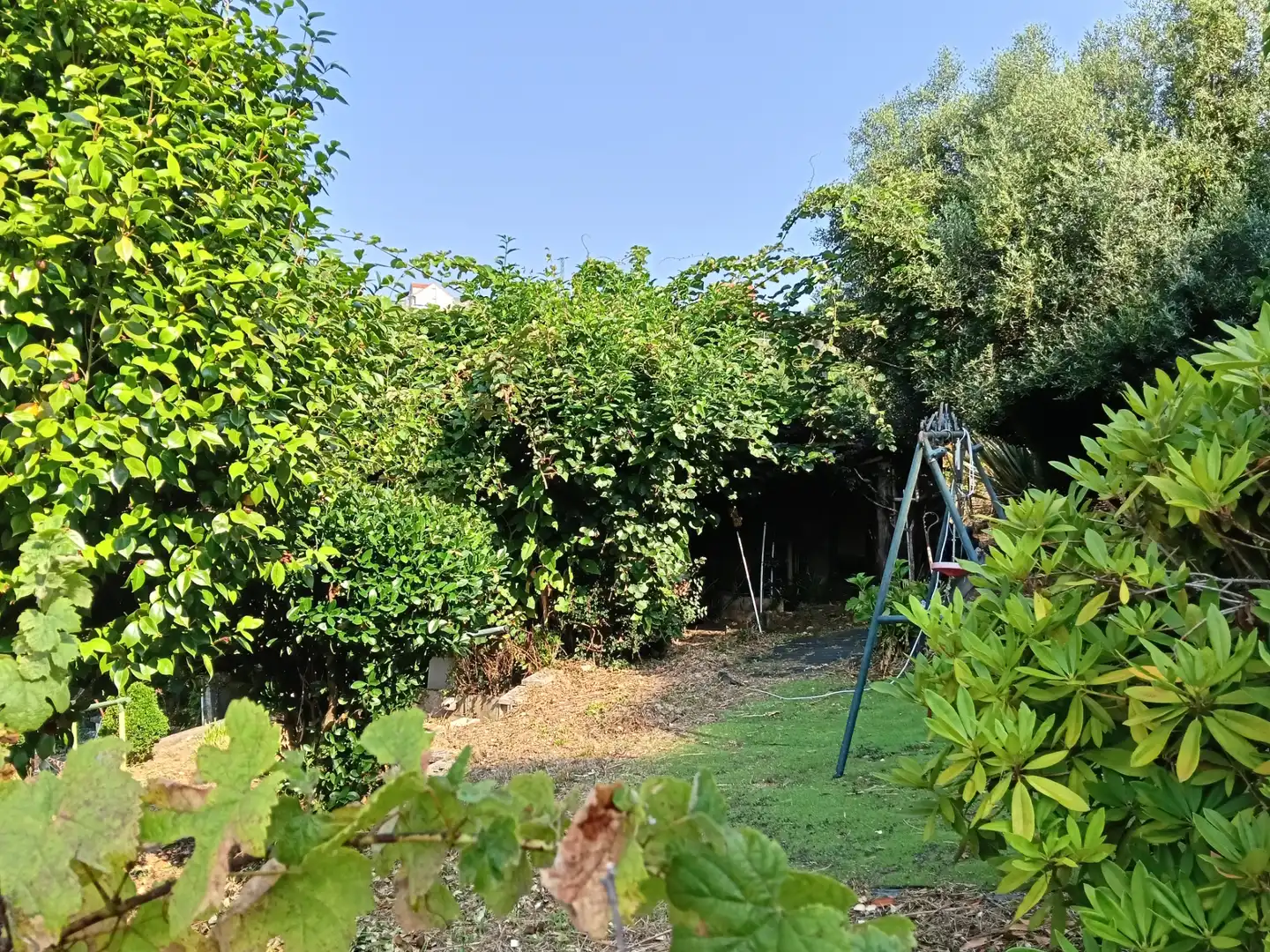 Maison avec jardin à vendre à Rúa Saavedra Meneses 87, imagen 15