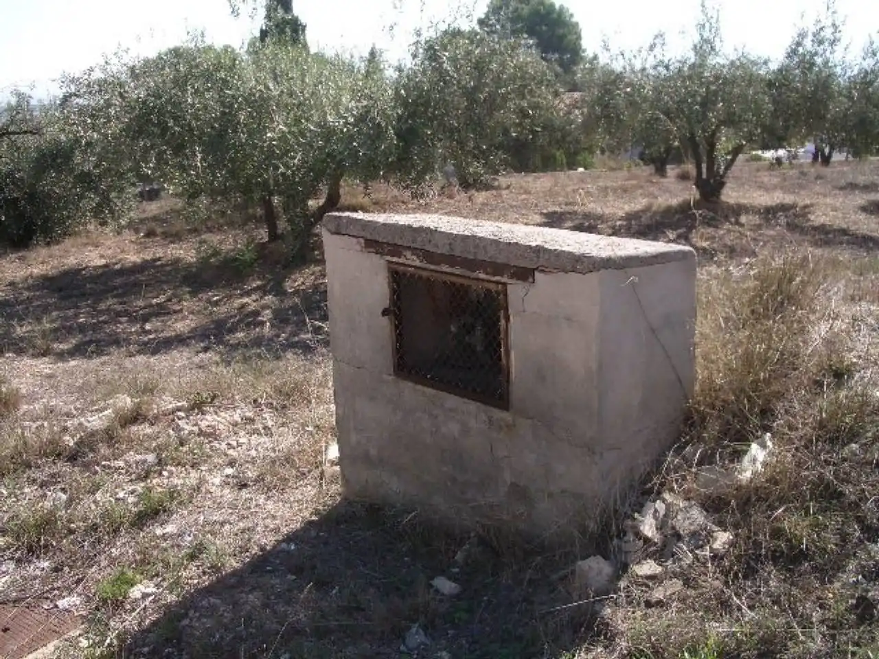 Terreny rústic en venda a caputxins, imagen 2