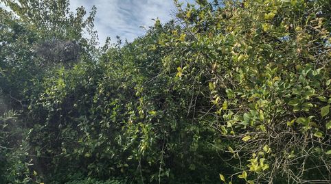 Foto 2 de Terreno en venta en Vereda del Rincon del Gallego, Torreagüera, Murcia Capital